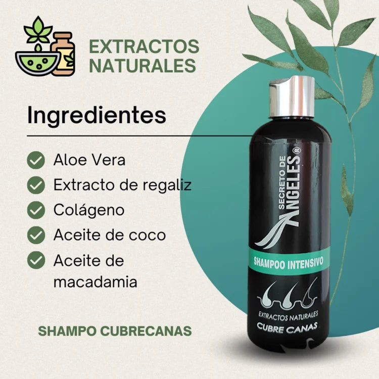 Shampoo Cubre Canas Secreto De Ángeles - COMBO + OBSEQUIO