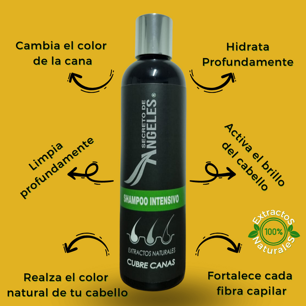 Shampoo Cubre Canas Secreto De Ángeles - COMBO + OBSEQUIO