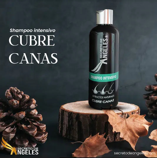 Shampoo Cubre Canas Secreto De Ángeles - COMBO + OBSEQUIO