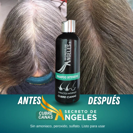 Shampoo Cubre Canas Secreto De Ángeles - COMBO + OBSEQUIO